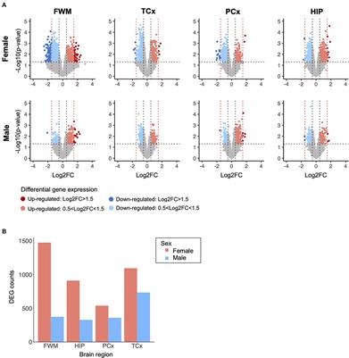 Sex-stratified RNA-seq analysis reveals traumatic brain injury-induced transcriptional changes in the female hippocampus conducive to dementia